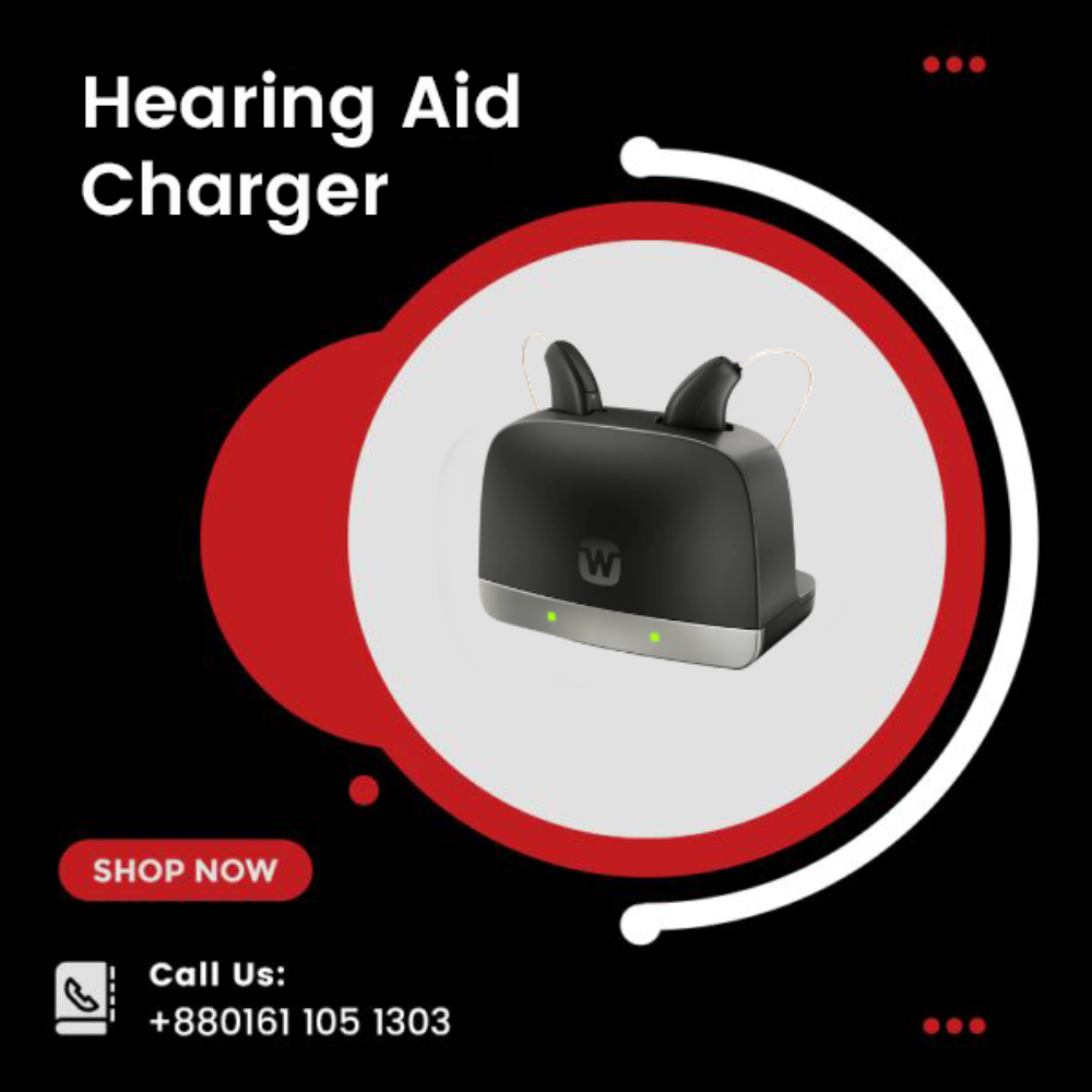 ARRDI/ABRDI STANDARD CHARGER WPT301 Hearing Aid Charger